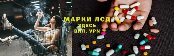 трава Арсеньев