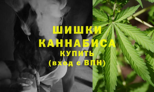 трава Арсеньев